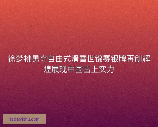 徐梦桃勇夺自由式滑雪世锦赛银牌再创辉煌展现中国雪上实力