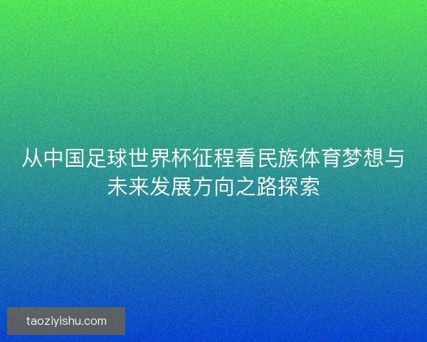 从中国足球世界杯征程看民族体育梦想与未来发展方向之路探索