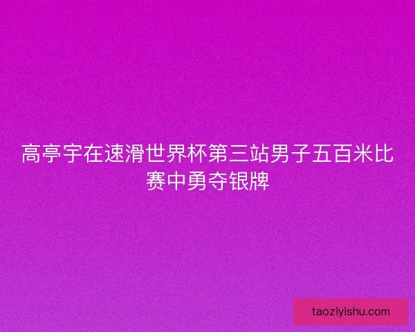 高亭宇在速滑世界杯第三站男子五百米比赛中勇夺银牌
