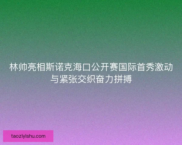 林帅亮相斯诺克海口公开赛国际首秀激动与紧张交织奋力拼搏