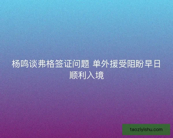 杨鸣谈弗格签证问题 单外援受阻盼早日顺利入境