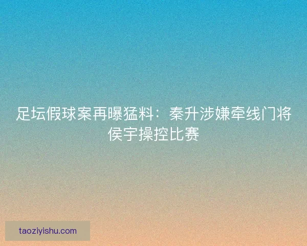足坛假球案再曝猛料：秦升涉嫌牵线门将侯宇操控比赛